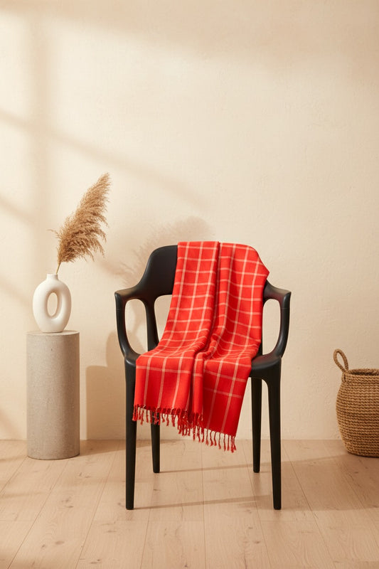 Women’s Warm Winter Pashmina Wool Shawl -(D#8013)